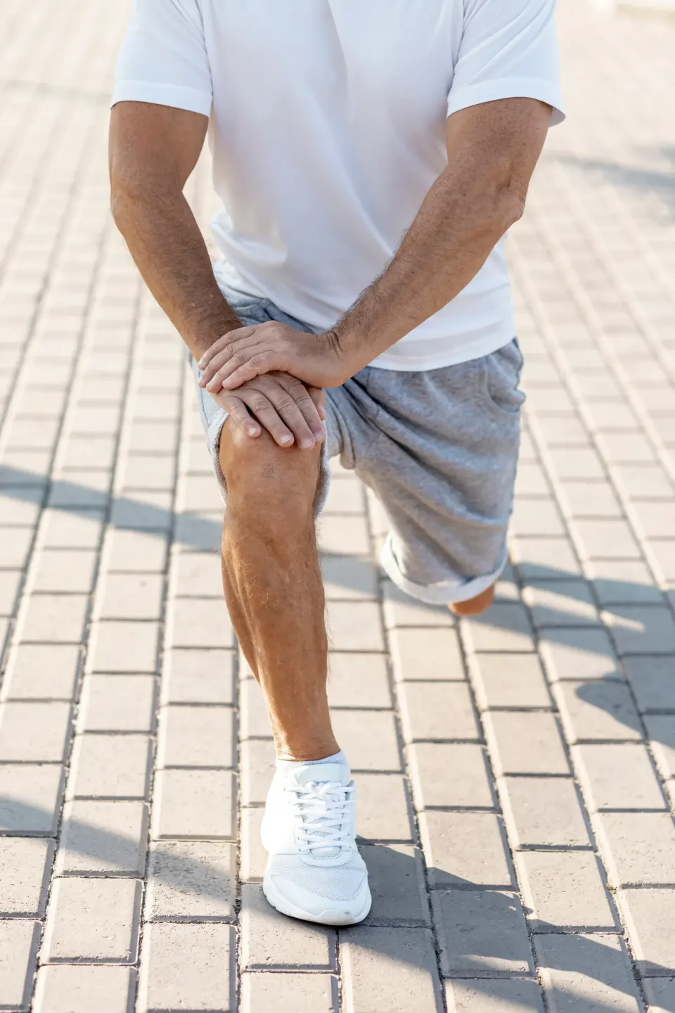 Anatomy of joint cartilage and degeneration